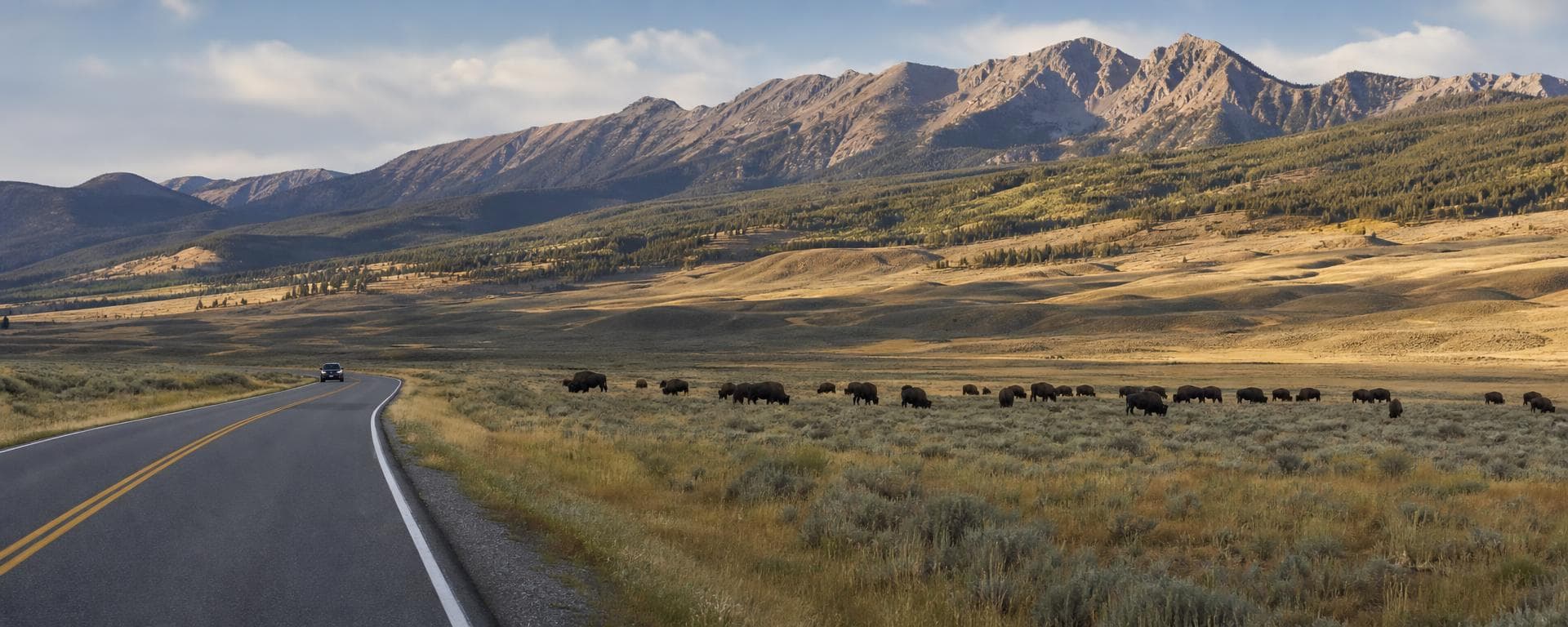 Yellowstone – Wildlife, Geysers & Mountain Towns