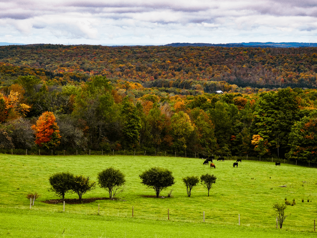 New York City, Hudson Valley & Catskills